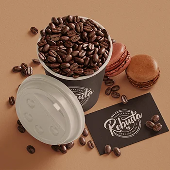 branding Portfolio