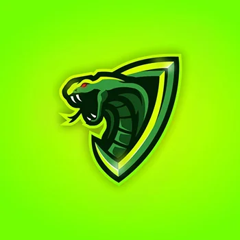 Logo Portfolio