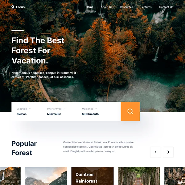 website Design