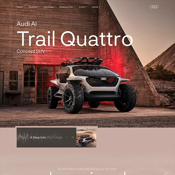 website Design